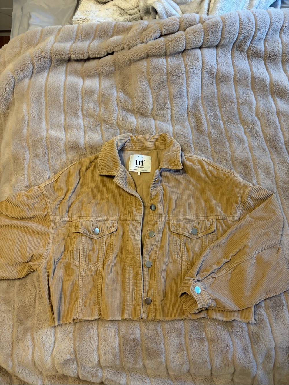 Zara Cropped Corduroy Jacket in Camel